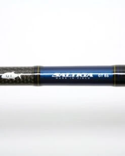 Daiwa Saltiga Gt86 Rod 2Pc 100-180G -Fishing World Shop 36462 2