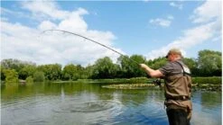 Daiwa Black Widow G50 Carp Rod - 12' 2.75lb -Fishing World Shop 40991 3