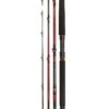Daiwa Tournament Travel Boat Rod - 6'6" 3pc 30-60lb -Fishing World Shop 43346