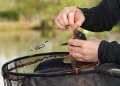 Guru Multi Maggot Feeder - Mini 20g 11 Guru Multi Maggot Feeder - Mini 20g -Fishing World Shop 47723 4