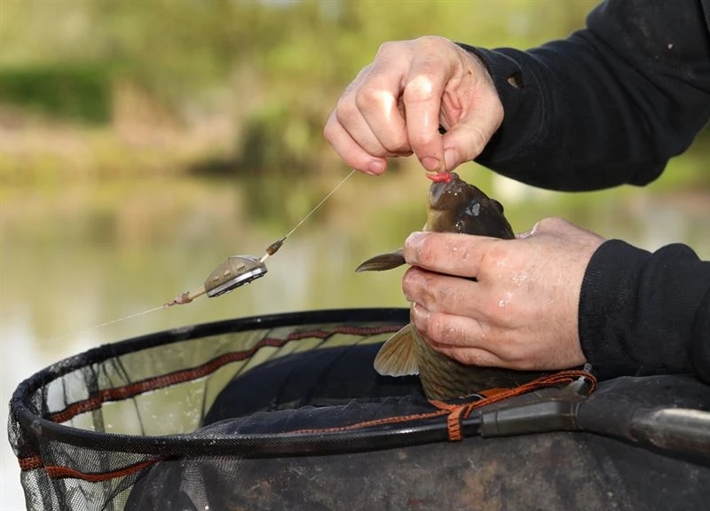 Guru Multi Maggot Feeder - Mini 20g 7 Guru Multi Maggot Feeder - Mini 20g - Image 5