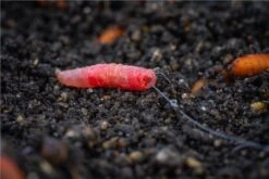 Guru Super Fine Pole Hooks - Size 16 -Fishing World Shop 50742 2