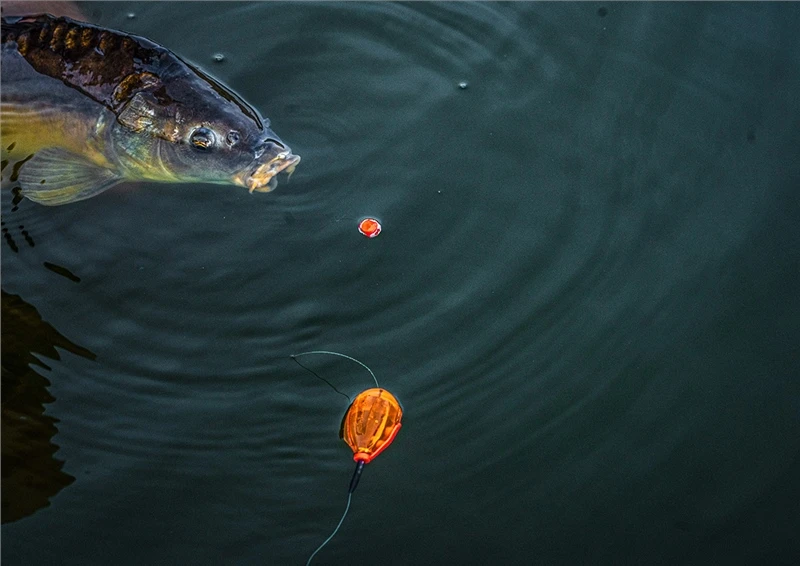 KORUM Surface Bomb - Camo 11 KORUM Surface Bomb - Camo - Image 9