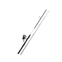 Kinetic Fantastica CC Spinning Combo - 6' L 4-21g 2sec 2000-FD