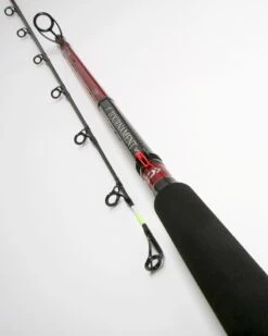 Daiwa Tournament Boat Uptide Rod 8'6'' 5-10oz -Fishing World Shop 54807 2