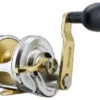 Accurate FX-600XGS Fury Single Speed Reel -Fishing World Shop accurate fx 600xgs fury single speed reel 86088.1651148510.386.513