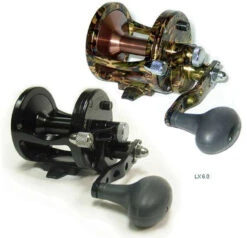 Avet LX Single Speed Lever Drag Casting Reels 13 Avet LX Single Speed Lever Drag Casting Reels -Fishing World Shop avet lx single speed lever drag casting reels 74027.1650776030