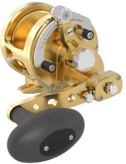 Avet MXJ G2 6/4 2-Speed Reel Gold