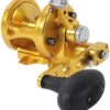 Avet SX 6/4 G2 NGP 2-Speed Reel - Gold (No Glide Plate) 2 Avet SX 6/4 G2 NGP 2-Speed Reel - Gold (No Glide Plate) -Fishing World Shop avet sx 6 4 g2 rh gd ngp 2 speed reel no glide plate 79934.1673358617.386.513
