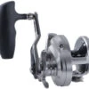 Shimano Ocea Jigger Star Drag Conventional Reels -Fishing World Shop shimano ocea jigger star drag conventional reels 63062.1651258561