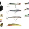 TackleDirect Daiwa Premium Striped Bass Lure Kit