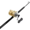 Shimano Tiagra 50WLRSA / TackleDirect Platinum Hook Standup Combo -Fishing World Shop tackledirect platinum hook tdps645080wtsin shimano tiagra 50wlrsa combo 91210.1651325962